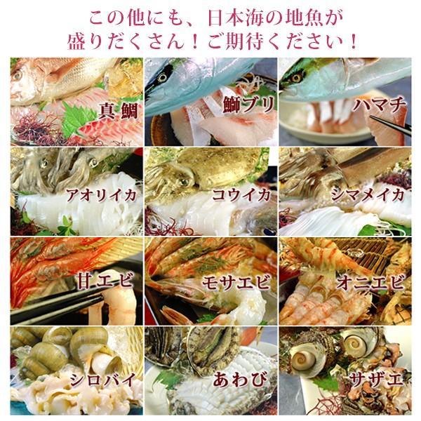 風味絶佳 旬のお刺身盛り合わせ5〜6人前（月） 送料無料 : パーソナル