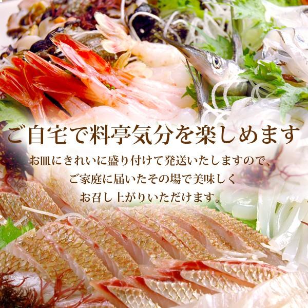 風味絶佳 旬のお刺身盛り合わせ5〜6人前（月） 送料無料 : パーソナル