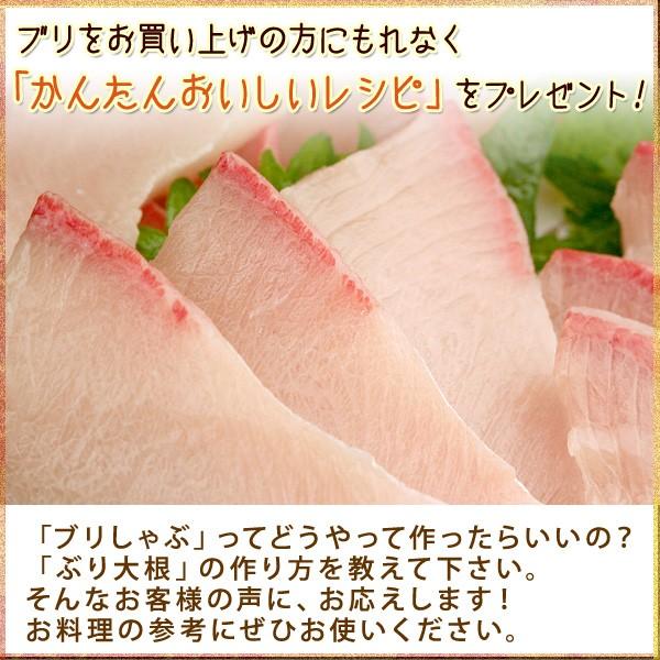 天然ブリ 寒鰤 寒ブリ 3kg前後 送料無料 北海道 沖縄を除く Ymys Buri Katu A パーソナルギフト 風味絶佳 山陰 通販 Yahoo ショッピング