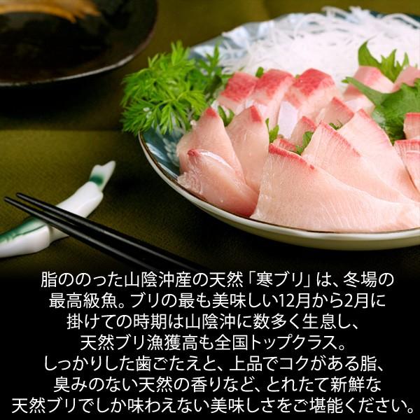 天然ブリ（寒鰤/寒ブリ）10kg以上（出荷時「三枚おろし」限定） 送料無料（北海道・沖縄を除く） 