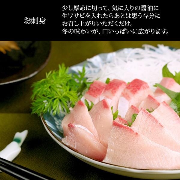 天然ブリ（寒鰤/寒ブリ）10kg以上（出荷時「三枚おろし」限定） 送料無料（北海道・沖縄を除く） 