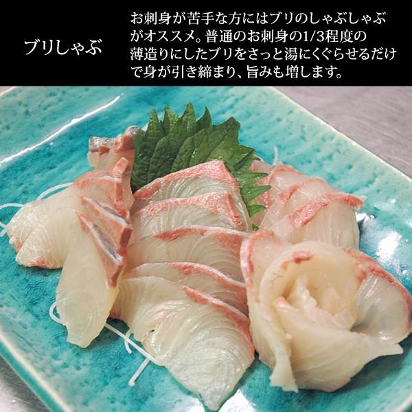 天然ブリ（寒鰤/寒ブリ）10kg以上（出荷時「三枚おろし」限定） 送料無料（北海道・沖縄を除く） 