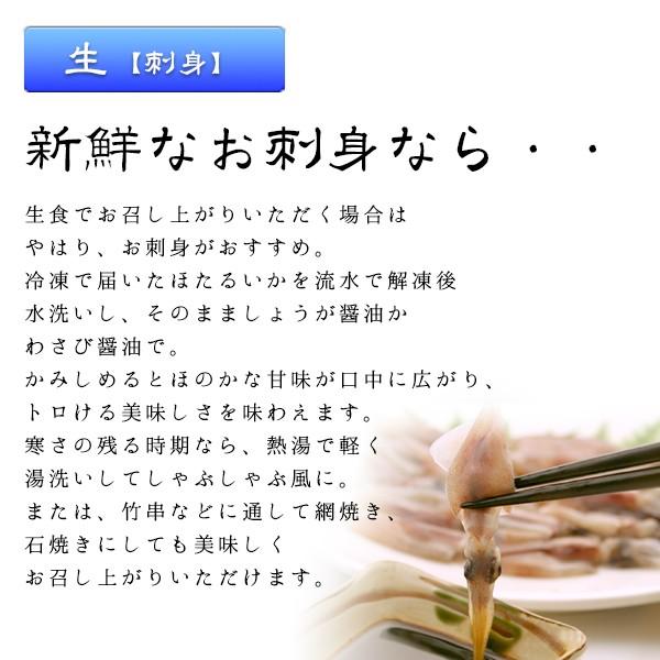 ホタルイカ（生冷凍ほたるいか）約1kg（約250g×4パック） 生 生食 刺身 冷凍 山陰沖産 送料無料（北海道・沖縄を除く）｜toretatehonpo｜11