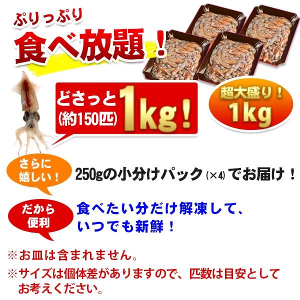 ホタルイカ（生冷凍ほたるいか）約1kg（約250g×4パック） 生 生食 刺身 冷凍 山陰沖産 送料無料（北海道・沖縄を除く）｜toretatehonpo｜07