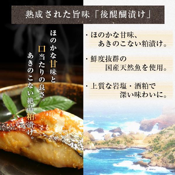 風味絶佳 干物 一夜干し 粕漬け セット 日本海の特撰魚介詰合せ（花