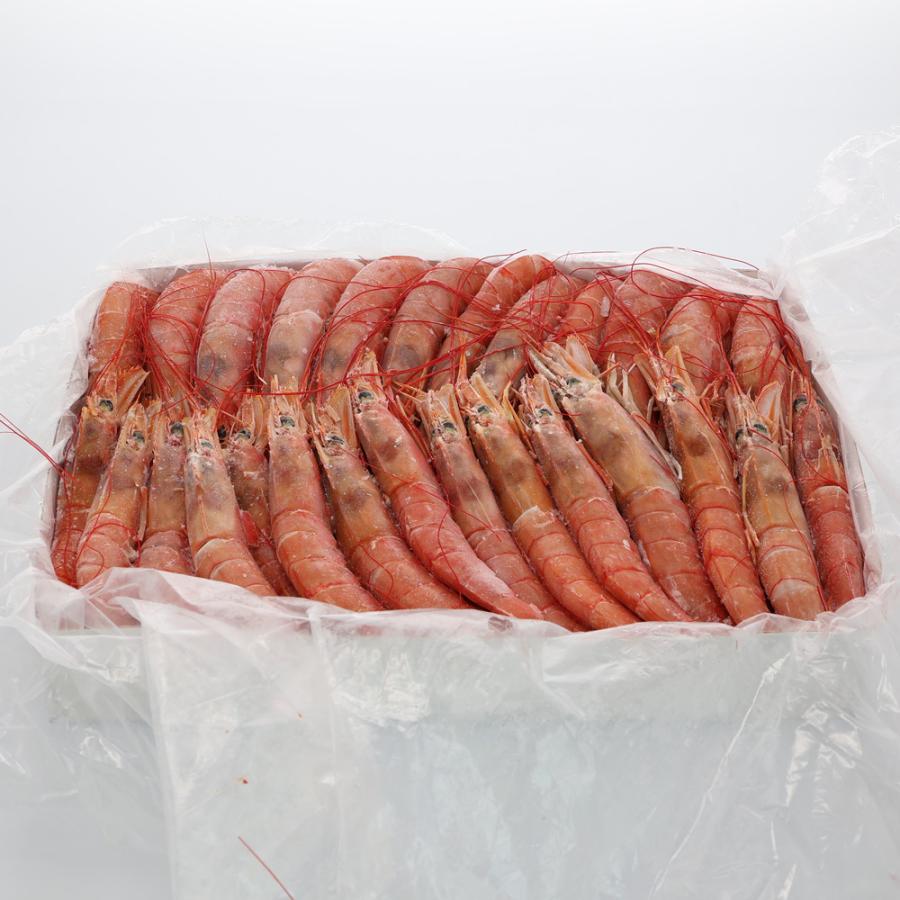 赤えび　約2kg　生食用　クール冷凍便　※包装不可商品 |  | 02