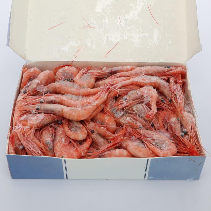 甘えび　約1kg　生食用　クール冷凍便　※包装不可商品 |  | 02