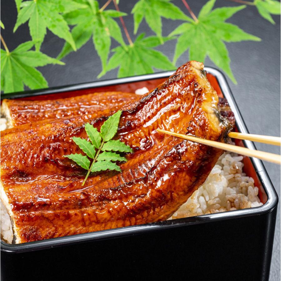 うなぎ蒲焼　1尾（蒲焼のたれ匠1本付） クール冷凍便 　※包装不可商品 | 