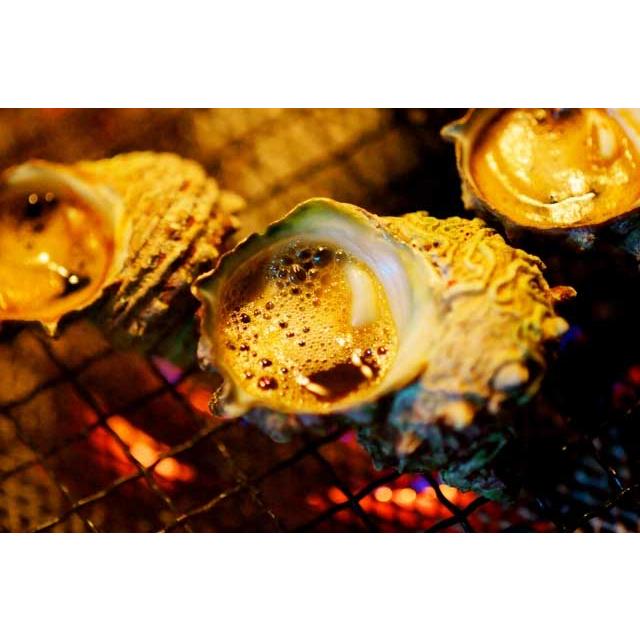 山口県産　殻付きスチームさざえ　5個入　加熱用　クール冷凍便　包装不可商品 |  | 01