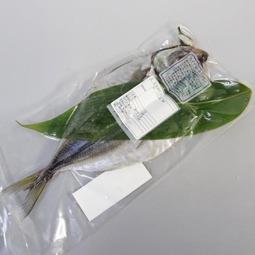笹の葉干物　あじ開き　1枚　クール冷凍便　ノルウェー産　干物　とれとれ市場 |  | 01