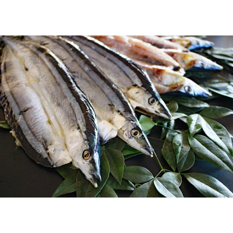 とれとれ市場干物コーナー店長おすすめ　厳選干物セットA　送料無料　北海道・沖縄県地域は送料1,200円。 |  | 07