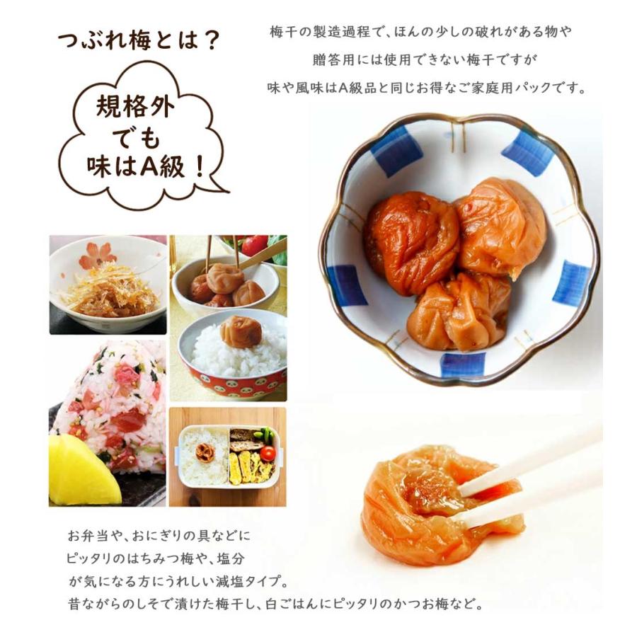 紀の里食品 梅きらら 紀州極上漬 くずれ梅（つぶれ梅・ご家庭用）300g