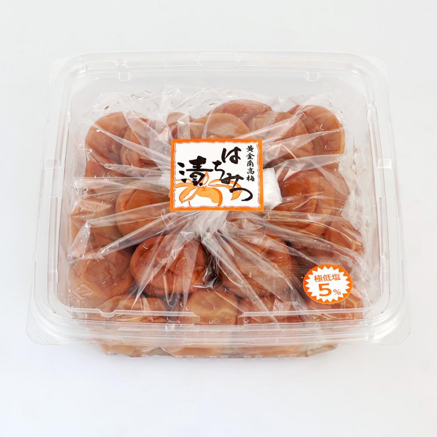 紀の里食品 梅きらら 甘口はちみつ漬 くずれ梅（つぶれ梅・ご家庭用