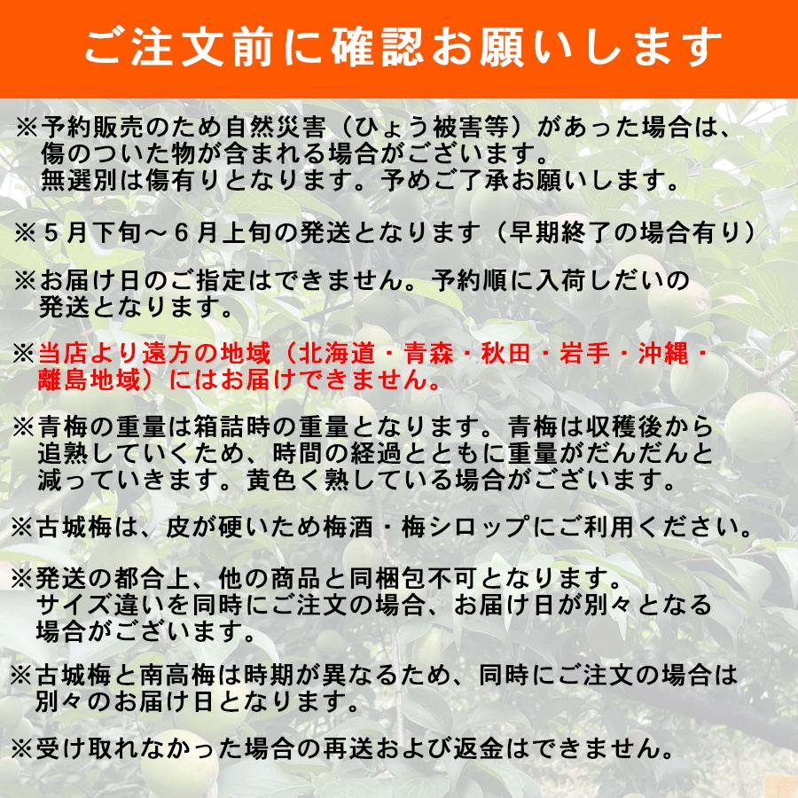 青梅　Lサイズ　注文ページ 送料無料 予約販売 紀州産 古城梅 青梅 Lサイズ 約5kg 梅酒・梅