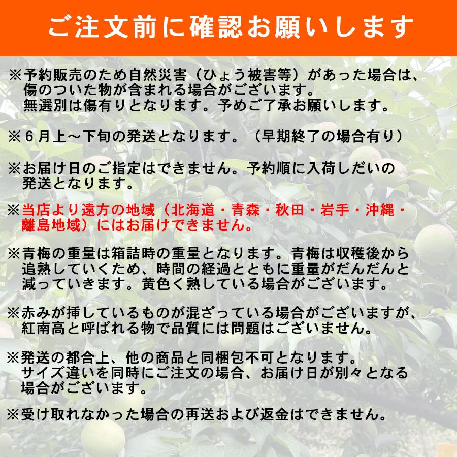 送料無料 予約販売 紀州産 南高梅 青梅 2Lサイズ 約5kg 梅干・梅酒・梅