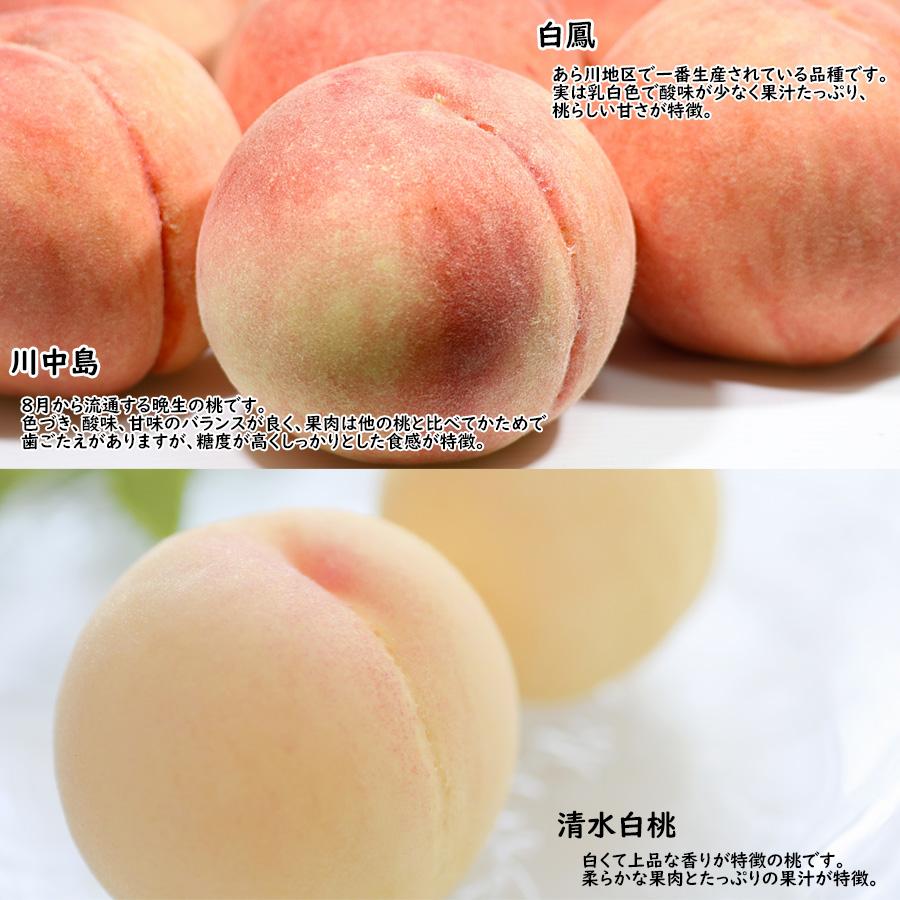 予約販売　贈答・進物用　和歌山県産　あら川の桃　（4kg・約13玉入・中玉）　7月下旬〜8月上旬の発送予定　※北海道・沖縄県は送料+1200円_1