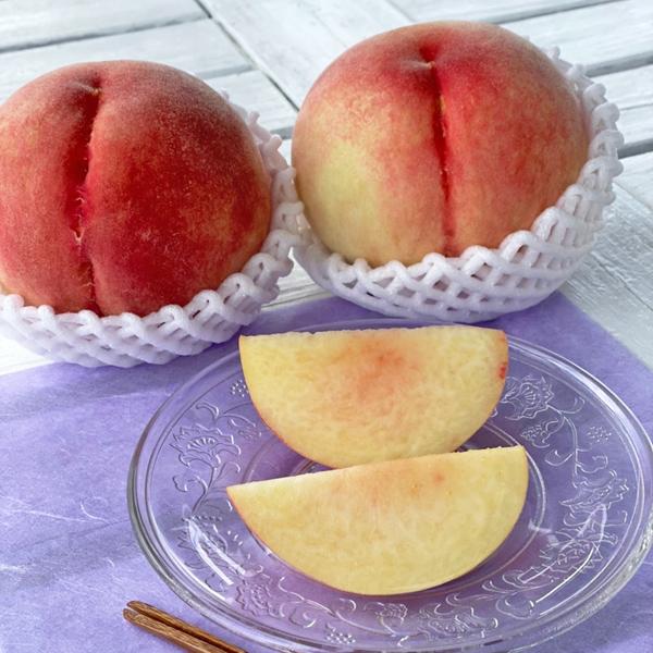 予約販売 ご自宅用 和歌山県産 あら川の桃 （4kg・約13玉入・中玉） 7