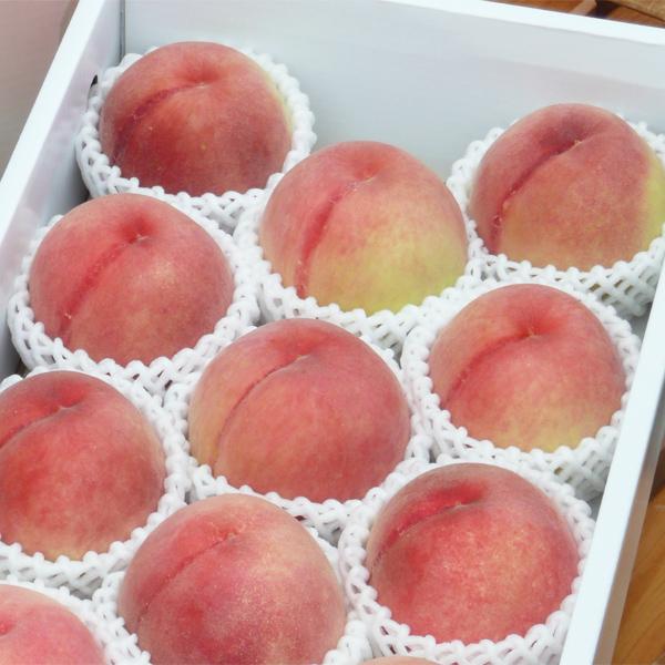 予約販売 ご自宅用 和歌山県産 あら川の桃 （4kg・約13玉入・中玉） 7