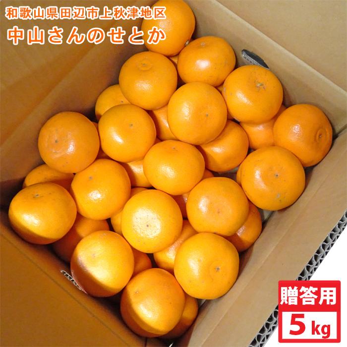 中山さんの美味しいみかん「せとか」　贈答・進物用（約5kg）　送料無料　※北海道・沖縄県へはお届けできません | 