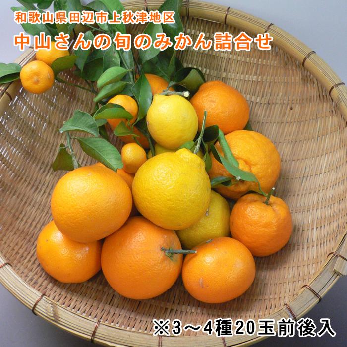 中山さんの旬のみかん詰合せ（20個前後）※旬のみかん3〜5種入 贈答 