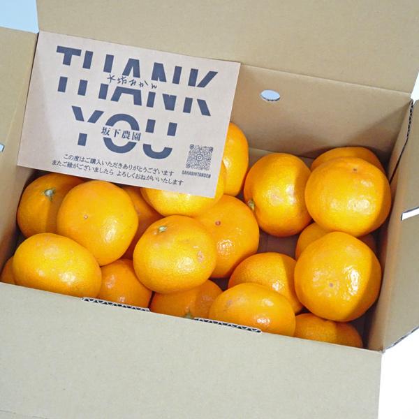 ギフト 送料無料 坂下農園 大坊みかん[温州みかん] 早生※12月上〜下旬