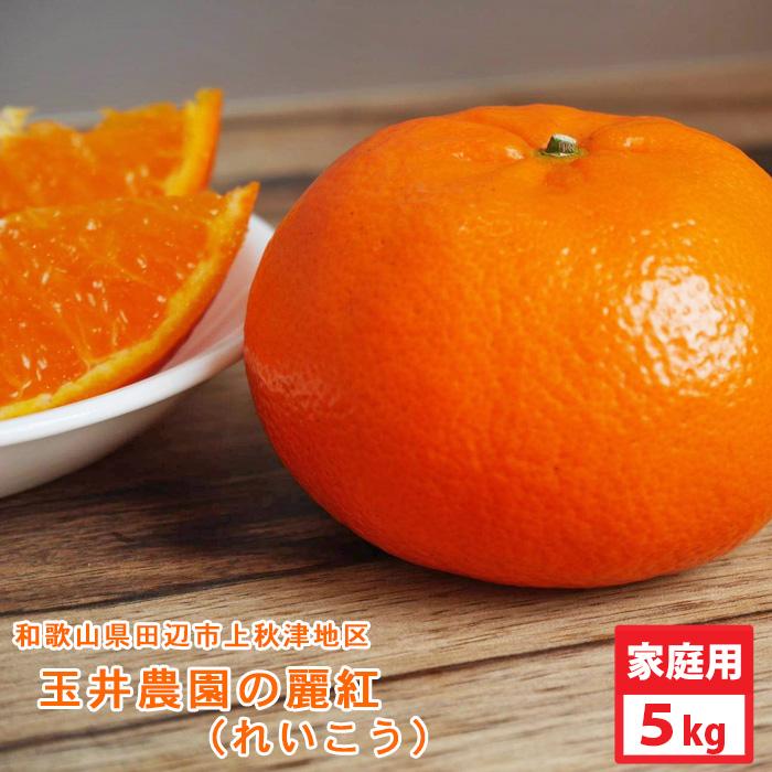 予約販売　2月下旬〜の発送　玉井農園　麗紅（れいこう）ご家庭用（5kg）M〜Lサイズ　和歌山県田辺市上秋津　送料無料※北海道・沖縄県へはお届けできません | 