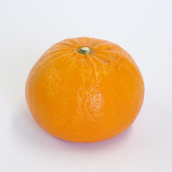 予約販売　2月下旬〜の発送　玉井農園　麗紅（れいこう）ご家庭用（5kg）M〜Lサイズ　和歌山県田辺市上秋津　送料無料※北海道・沖縄県へはお届けできません |  | 01