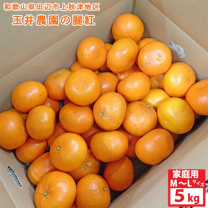 予約販売　2月下旬〜の発送　玉井農園　麗紅（れいこう）ご家庭用（5kg）M〜Lサイズ　和歌山県田辺市上秋津　送料無料※北海道・沖縄県へはお届けできません |  | 04