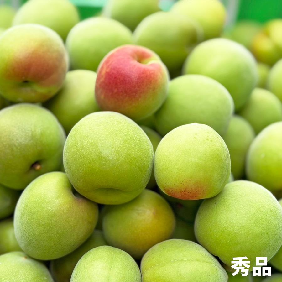 本場紀州南高梅 みなべ産 青梅 秀品(A級)3L 10kg 秀品 紀州みなべ産 南高梅 青梅 3〜4Lサイズ 約10kg ご家庭用、梅干