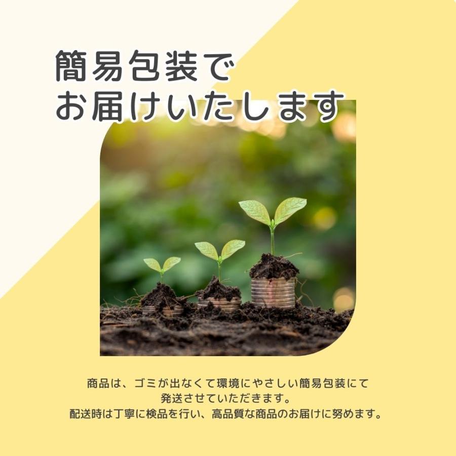 ミニトートバッグ トートバッグ ファスナー ファスナー付き 2way 20代 30代 40代 50代 レディース 帆布  仕切り キャンバス 軽い 軽量 メンズ | ブランド登録なし | 13