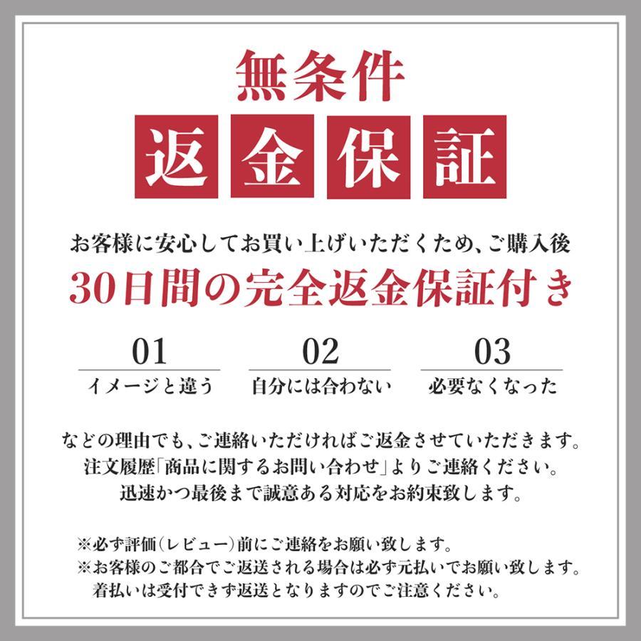 ミニトートバッグ トートバッグ ファスナー ファスナー付き 2way 20代 30代 40代 50代 レディース 帆布  仕切り キャンバス 軽い 軽量 メンズ | ブランド登録なし | 14
