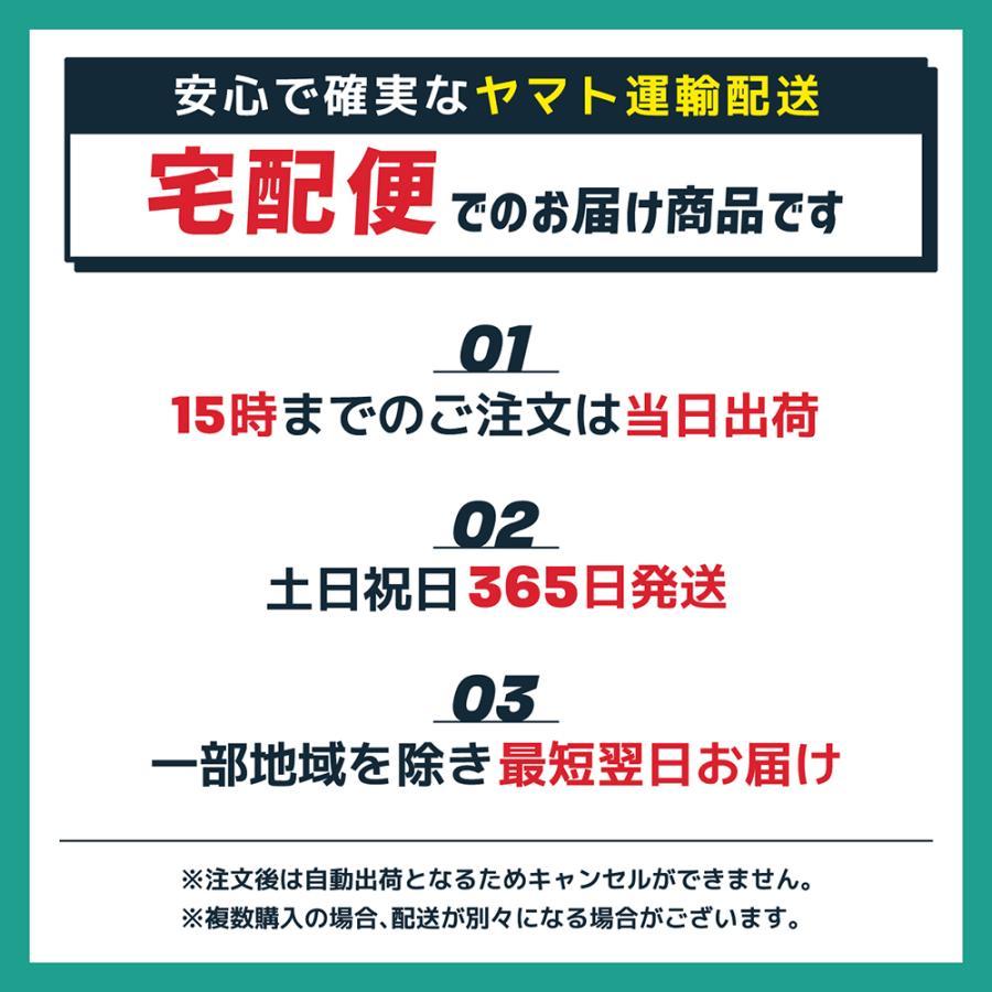 ミニトートバッグ トートバッグ ファスナー ファスナー付き 2way 20代 30代 40代 50代 レディース 帆布  仕切り キャンバス 軽い 軽量 メンズ | ブランド登録なし | 16