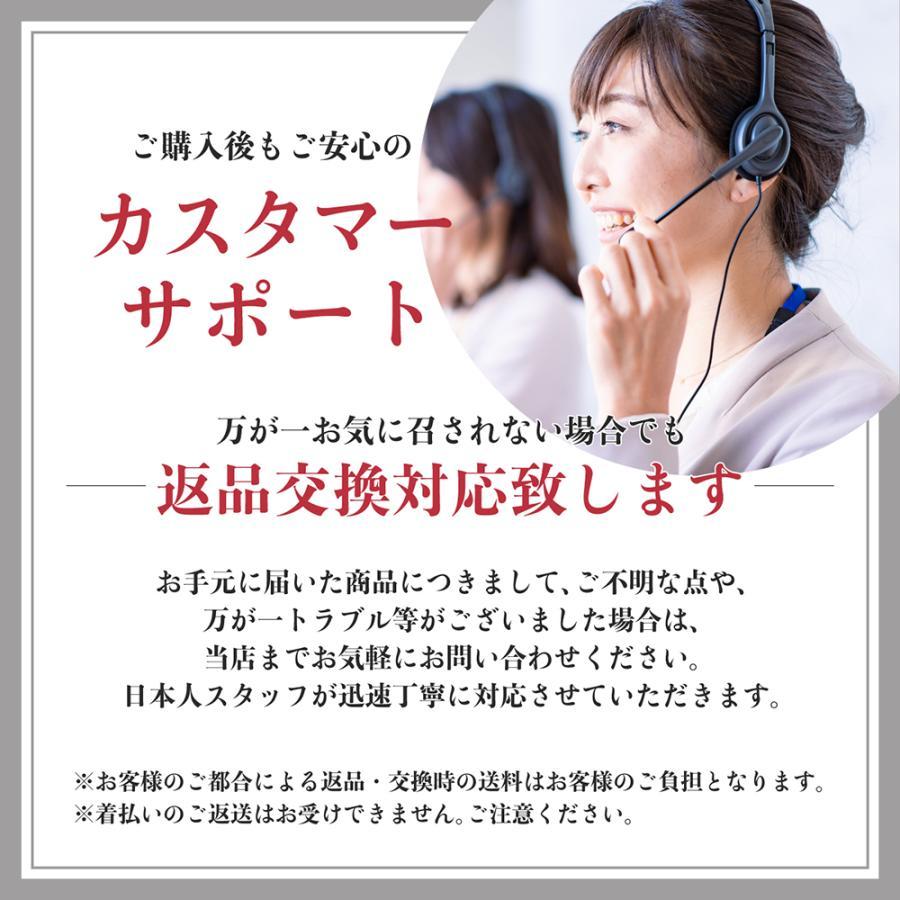 ミニトートバッグ トートバッグ ファスナー ファスナー付き 2way 20代 30代 40代 50代 レディース 帆布  仕切り キャンバス 軽い 軽量 メンズ | ブランド登録なし | 17