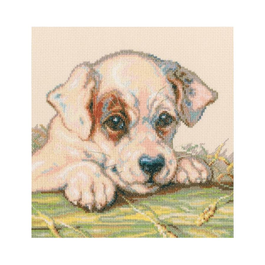 Rto クロスステッチ刺繍キット M711 Puppy 犬 海外取り寄せ 通常納期40 80日程度 Rto M0711 Hand Work とりい 通販 Yahoo ショッピング