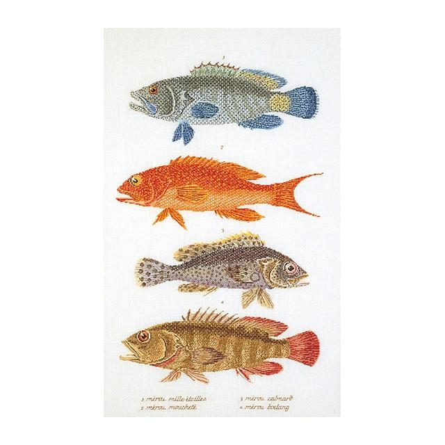 Thea Gouverneur クロスステッチ刺繍キット No.2044 \"Fish Panel\"(魚のパネル) オランダ テア・グーヴェルヌール 【取り寄せ/納期40〜80日程度】