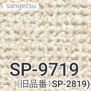 サンゲツSP-9919 SP-2319 SP-9519 未開封品 SP-9919 SPシリーズ サンゲツ【アウンワークス通販】