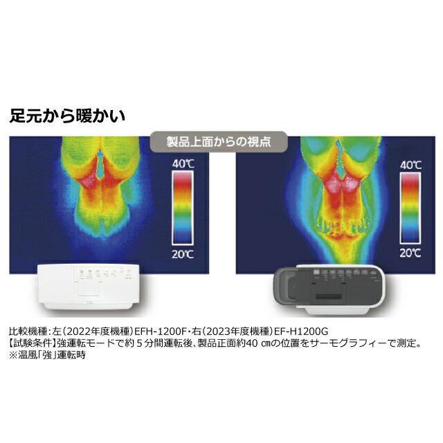 ダイニチ（Dainichi） 【メーカー在庫あり】Hタイプ ヒーター