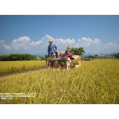 コシヒカリ 無農薬米 有機栽培米 10kg（玄米5kg×2袋）令和7年産