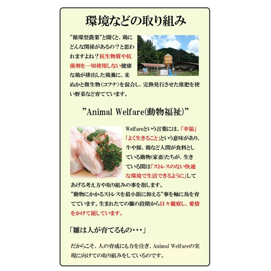 唐揚げ 国産つくば鶏のもも肉使用の唐揚げ 1パック200ｇ 柔らかくジューシーな味のから揚げ唐揚げ/から揚げ 茨城県産 銘柄鶏肉 |  | 05