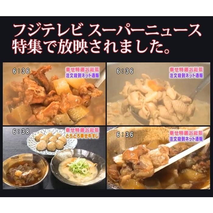 牛すじ煮込み お試し6ｐセット 2セット以上購入でおまけ 国産牛すじ肉を使用 大衆居酒屋 伝統の味 お酒のおつまみに最適 湯せん 鳥益 マーちゃんマート 通販 Yahoo ショッピング