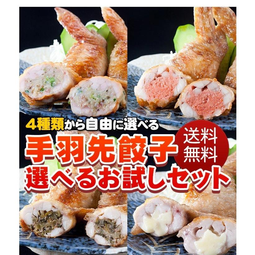 手羽先餃子 選べるお試しセット 5本×5P 焼き鳥屋の手羽先お惣菜 バーベキュー、BBQに最適手羽餃子 焼くだけ |  | 12