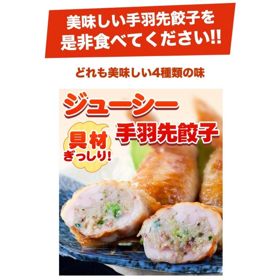 手羽先餃子 選べるお試しセット 5本×5P 焼き鳥屋の手羽先お惣菜 バーベキュー、BBQに最適手羽餃子 焼くだけ |  | 08