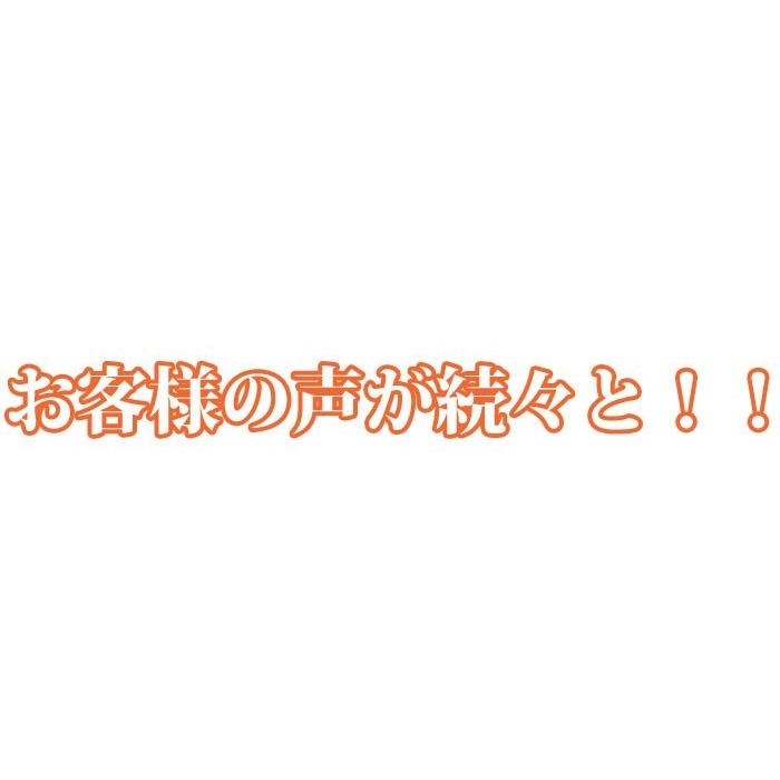 焼き鳥丼の具 老舗の味 200g×5P 鶏肉、焼き方にこだわった焼き鳥 茨城県産 焼き鳥/焼鳥/やきとり 鳥益 湯せん news every.で紹介 おつまみ |  | 05