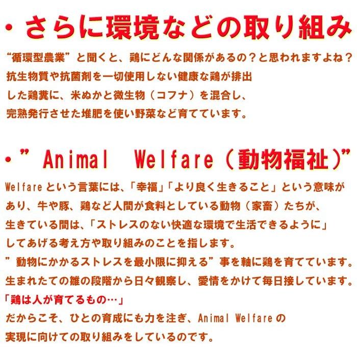 つくば鶏 手羽元 2kg 2kg1パックでの発送 茨城県産 特別飼育鶏 柔らかくジューシーな味 唐揚げや煮るのにも最適な鳥肉｜torimasu｜06