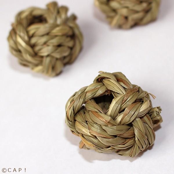 Cap 鳥のおもちゃ 無農薬 かじりーず ボールm