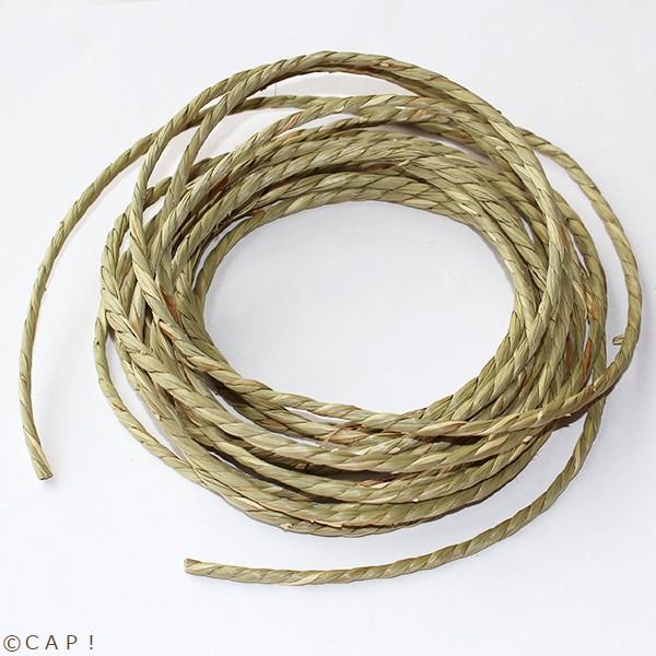 Cap 鳥のおもちゃ 栽培時農薬不使用 かじりーず いぐさロープ直径3mm X5m Kazii3 コンパニオンバード専門店cap 通販 Yahoo ショッピング