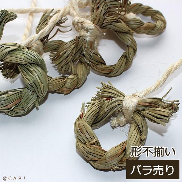 Cap 鳥のおもちゃ 栽培時農薬不使用 単品 かじりーず リング系 １個 Kaziring2 コンパニオンバード専門店cap 通販 Yahoo ショッピング