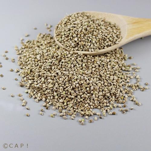 Cap 鳥の餌 西種商店 玄ヒエ 殻付き 400g Nishishirohie400 コンパニオンバード専門店cap 通販 Yahoo ショッピング