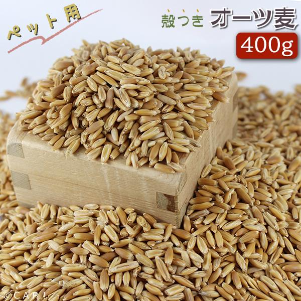 Cap 鳥の餌 オーツ麦 お気に入 500g
