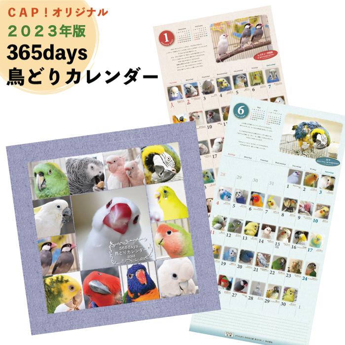 Cap 鳥 22年版 365days 鳥どりカレンダー Toridoricalendar コンパニオンバード専門店cap 通販 Yahoo ショッピング